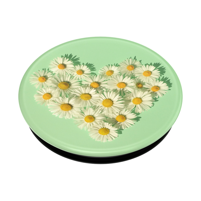 Daisy Lover image number 3