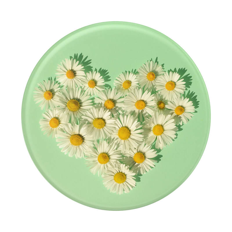 Daisy Lover image number 1